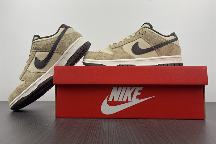 Nike Dunk Low PRM  DH7913-200