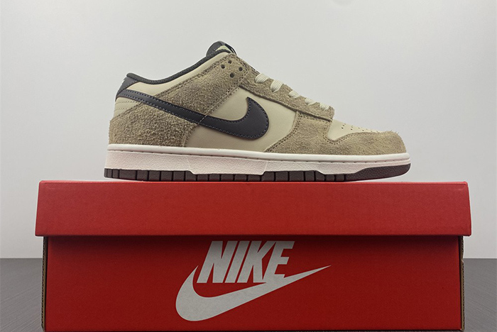 Nike Dunk Low PRM  DH7913-200