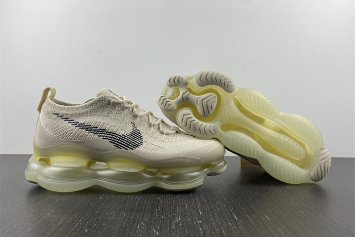 Nike Air Max Scorpion  DJ4701-001