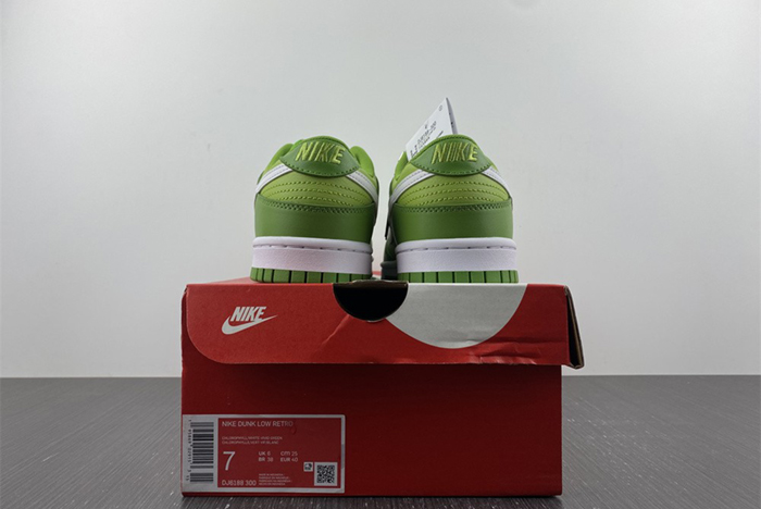 Nike Dunk Low Style Code  DJ6188-300