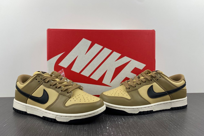 Nike Dunk Low "Dark Driftwood" DD1503-200