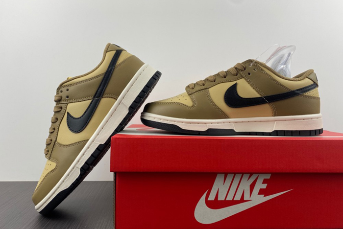 Nike Dunk Low "Dark Driftwood" DD1503-200