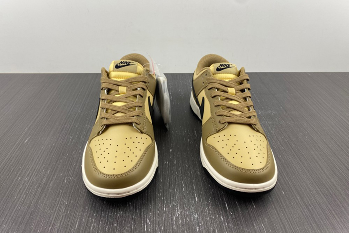 Nike Dunk Low "Dark Driftwood" DD1503-200