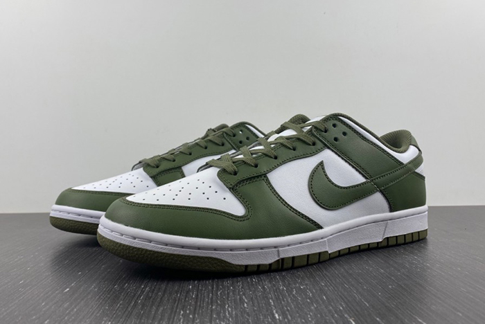 NikeDunk Low  DD1503-120