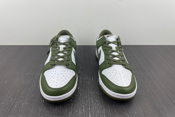 NikeDunk Low  DD1503-120