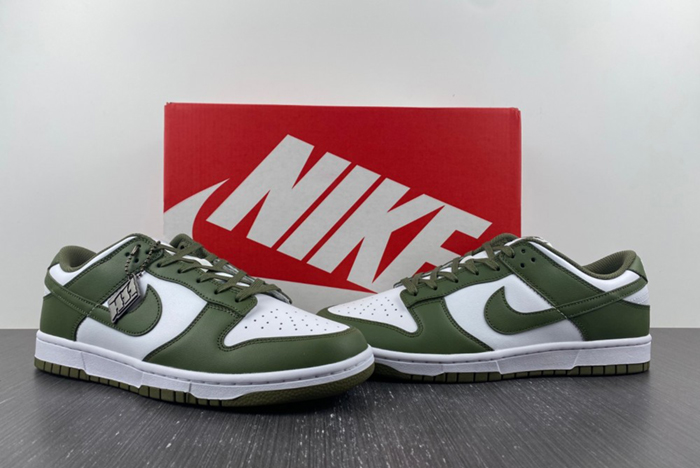 NikeDunk Low  DD1503-120