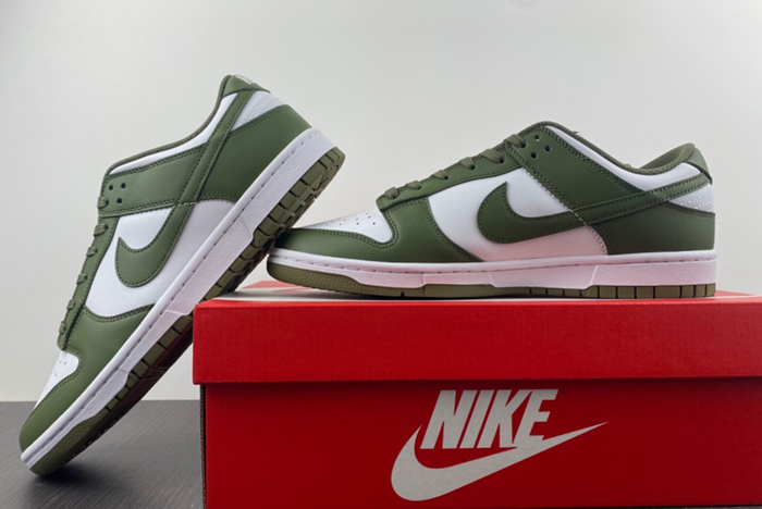 NikeDunk Low  DD1503-120