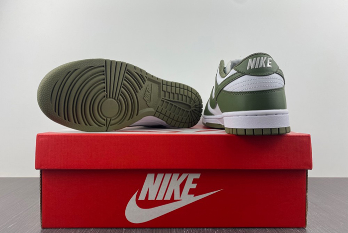 NikeDunk Low  DD1503-120