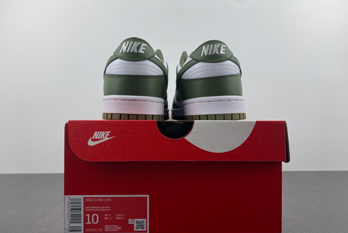 NikeDunk Low  DD1503-120