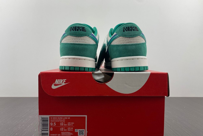 NIKE Dunk Low SE  DO9457-101