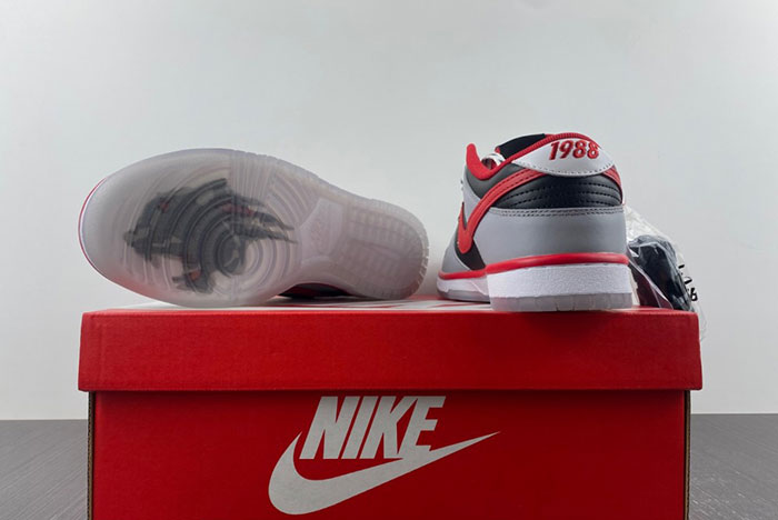 Nike Dunk Low “CAU”  DR6189-001