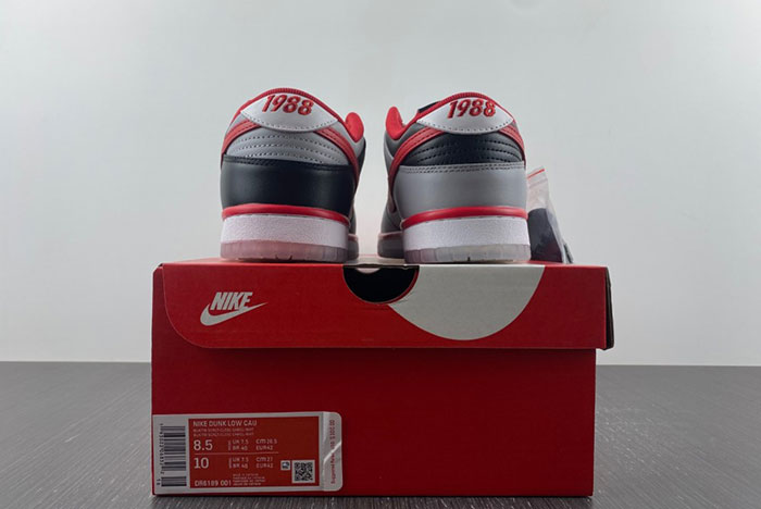 Nike Dunk Low “CAU”  DR6189-001