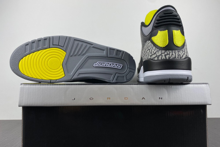Air Jordan 3 Retro"Oregon Duck"  594-282240