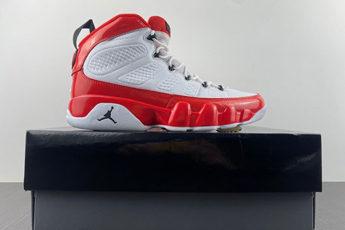 Air Jordan 9 Gym Red  302370-160