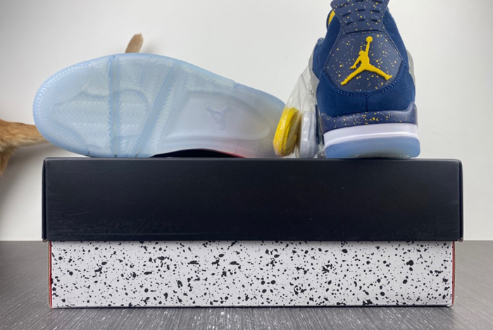 Air Jordan 4 AJ4-1036660