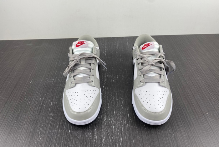 Nike Dunk Low “Light Iron Ore”  DQ7576-001