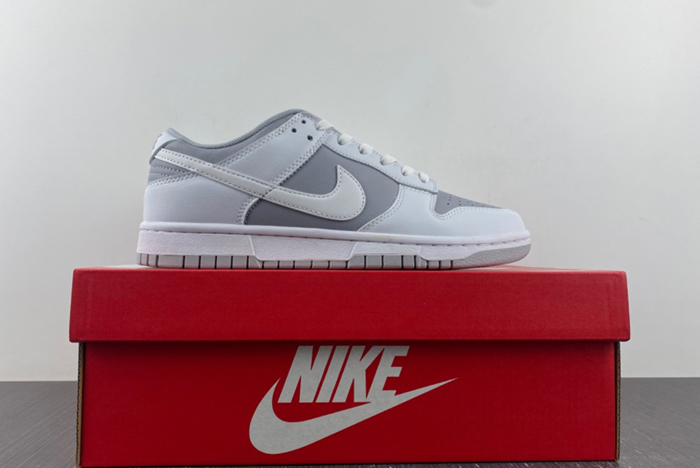 Nike Dunk Low Retro  DJ6188-003