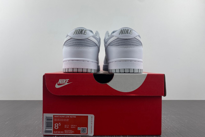 Nike Dunk Low Retro  DJ6188-003