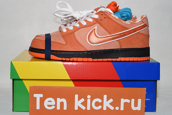 Concepts x Nike SB Dunk Low  FD8776-800