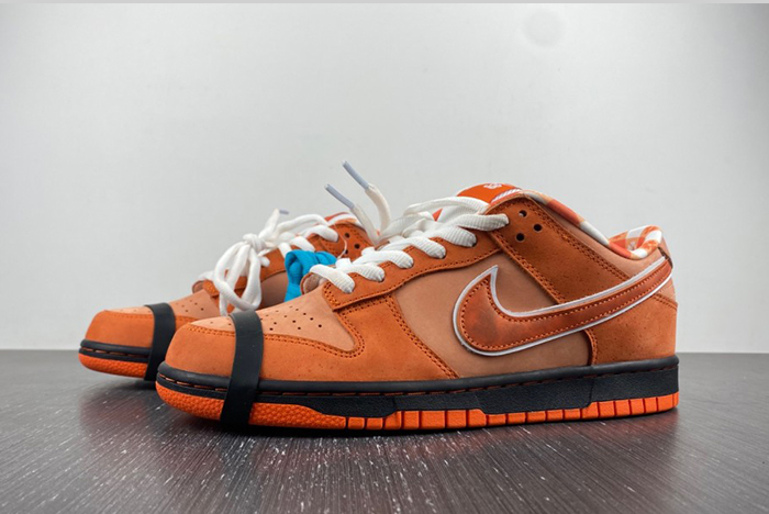 Concepts x Nike SB Dunk Low  FD8776-800