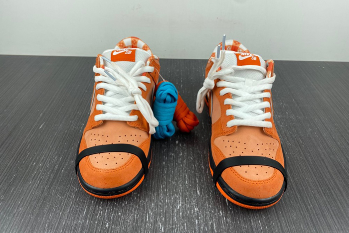Concepts x Nike SB Dunk Low  FD8776-800