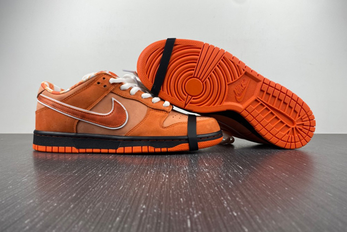 Concepts x Nike SB Dunk Low  FD8776-800