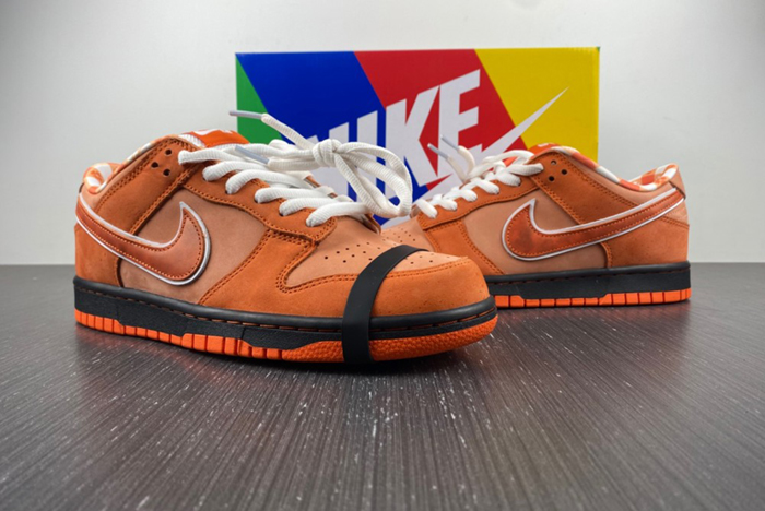 Concepts x Nike SB Dunk Low  FD8776-800
