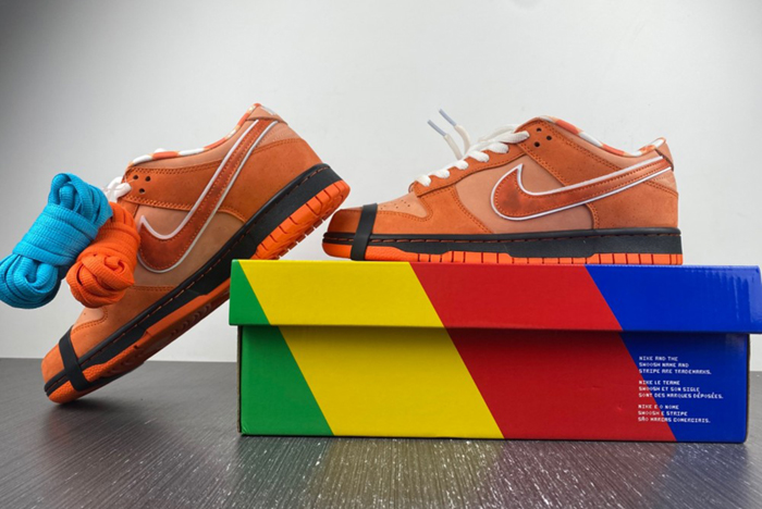 Concepts x Nike SB Dunk Low  FD8776-800