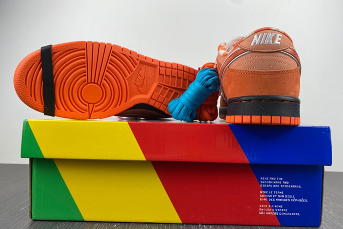 Concepts x Nike SB Dunk Low  FD8776-800