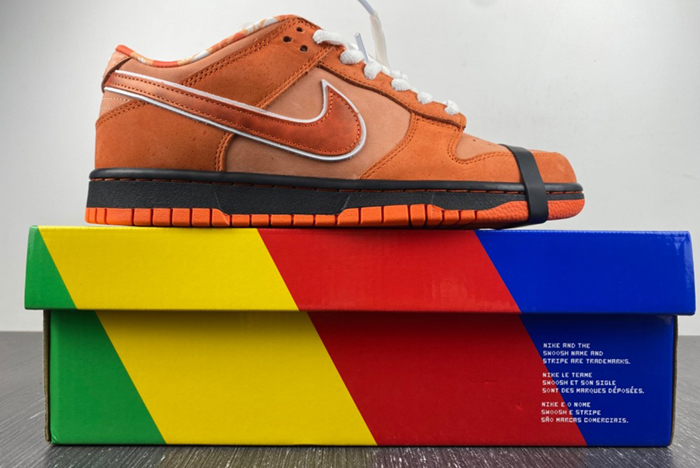 Concepts x Nike SB Dunk Low  FD8776-800