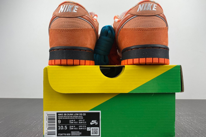 Concepts x Nike SB Dunk Low  FD8776-800