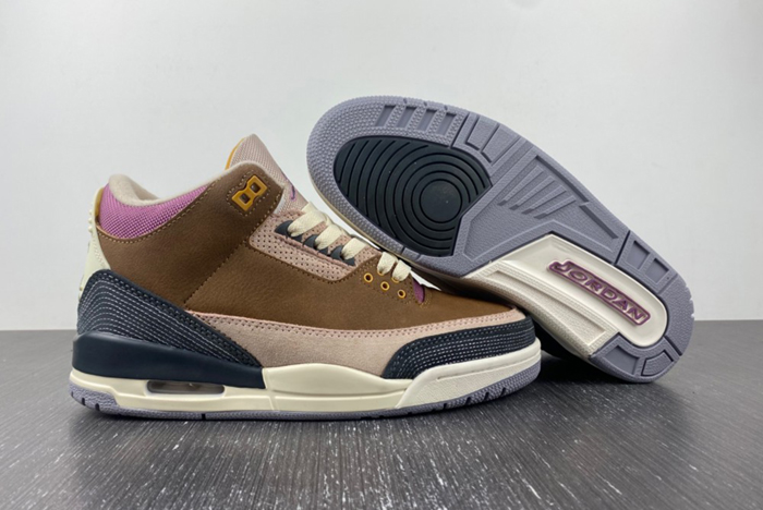 Air Jordan 3 Retro SE  "Archaeo Brown"  DR8869-200