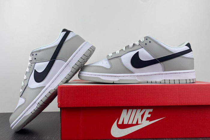 Nike Dunk Low Retro SE DR9654-001