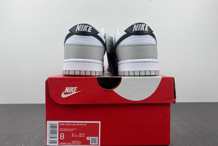 Nike Dunk Low Retro SE DR9654-001