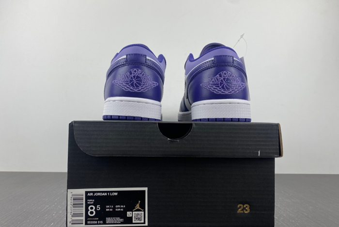 Air Jordan 1 Low Covered In Purple Tons 553558-515