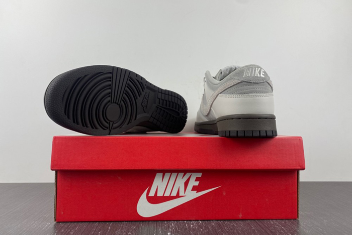 Nike Dunk Low "Ironstone"  FD9746-001