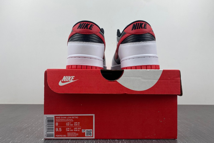 Nike Dunk Low  FD9762-061