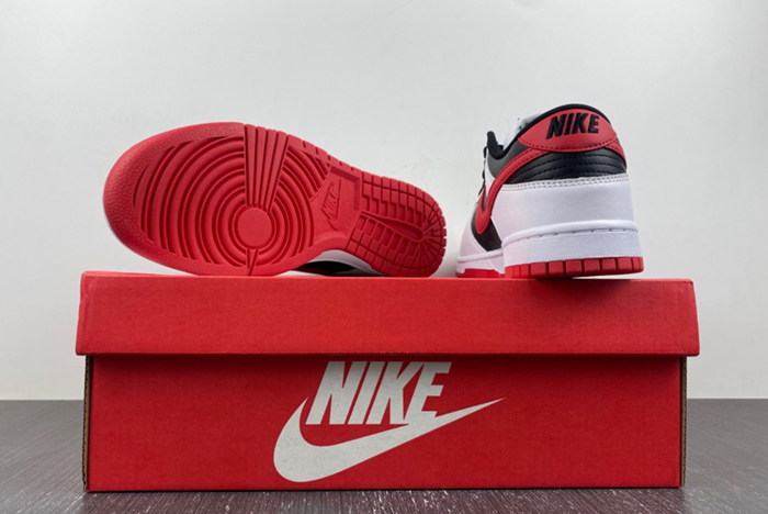 Nike Dunk Low  FD9762-061