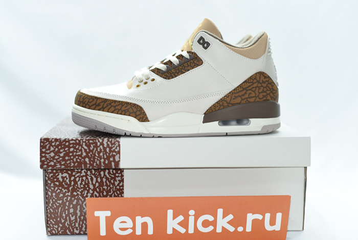 Air Jordan 3 “Palomino” CT8532-102