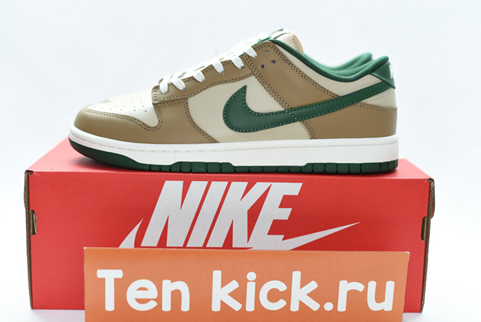 Nike Dunk Low Retro FB7160-231