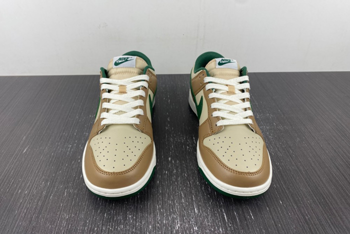 Nike Dunk Low Retro FB7160-231