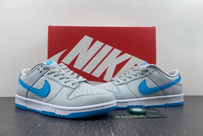 NIKE Dunk Low Retro DV0831-001