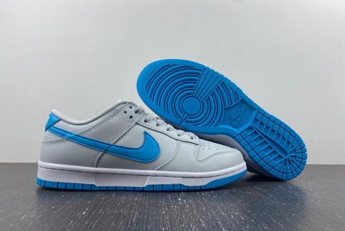 NIKE Dunk Low Retro DV0831-001