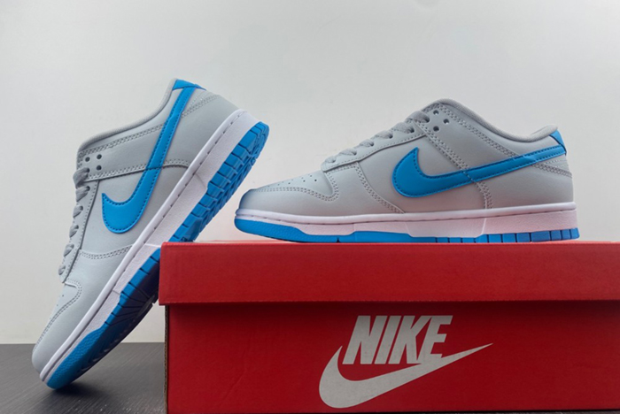 NIKE Dunk Low Retro DV0831-001