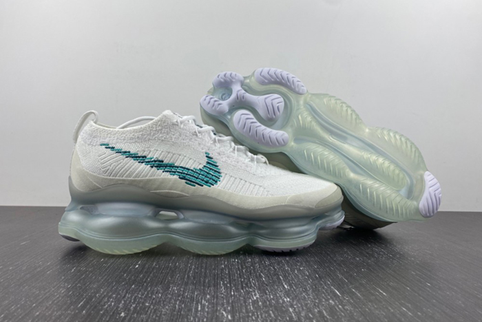 Nike Air Max Scorpion  DJ4701-100