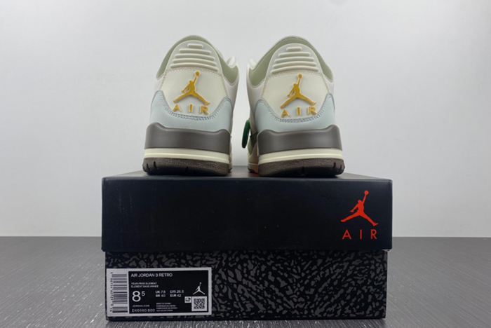 Air Jordan 3 DX6660-800