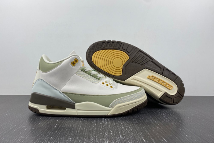 Air Jordan 3 DX6660-800