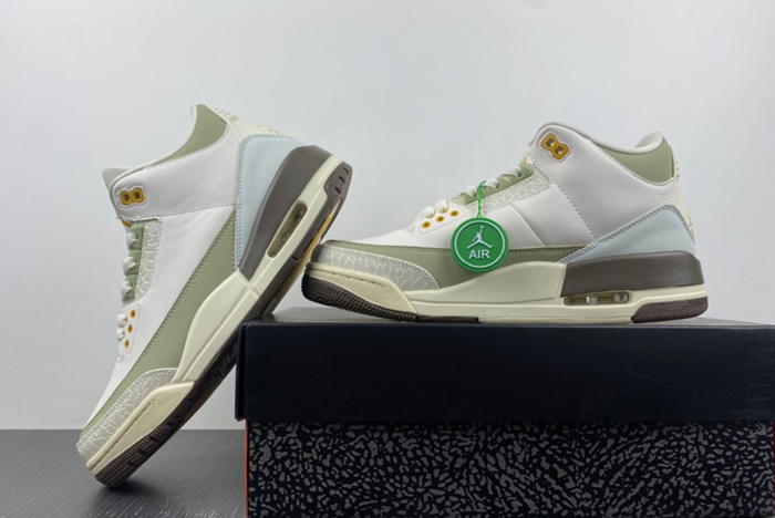 Air Jordan 3 DX6660-800