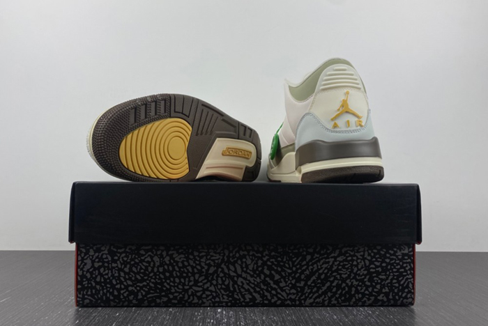 Air Jordan 3 DX6660-800