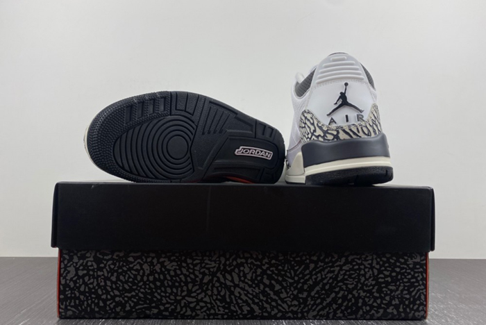 Air Jordan 3 GS “Hide and Sneak”  DX6665-100